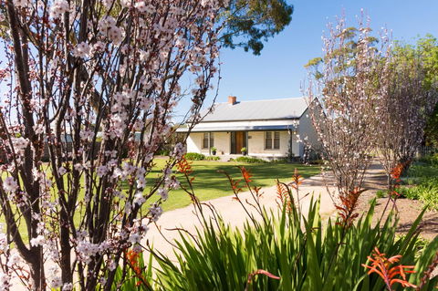 20 Hill Avenue Bed & Breakfast - Hotel NSW 1