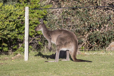 Chandlers Smiths Beach Villas - Hotel NSW 15