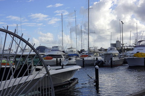 Oceanside 23 - Hotel NSW 24