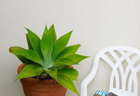 Sea & Soul Beachside Apartments - Hotel NSW 9