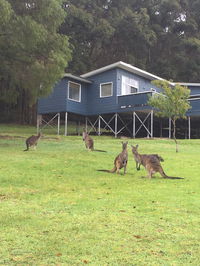 Book Denmark Accommodation Vacations Hotel NSW Hotel NSW