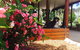 Armidale Tourist Park - thumb 34