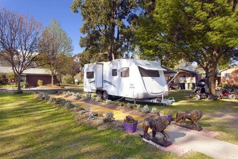 Armidale Tourist Park - Hotel NSW 25