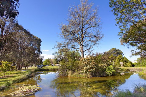 Armidale Tourist Park - Hotel NSW 24