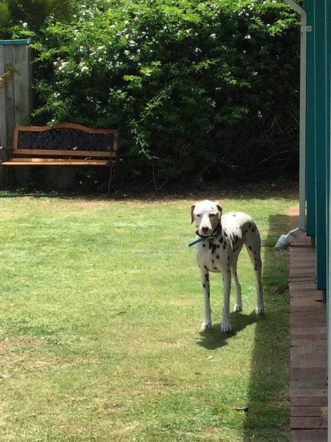 Beachside Prevelly Villas - Hotel NSW 31