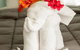 Kempsey Rose Motor Inn - thumb 17