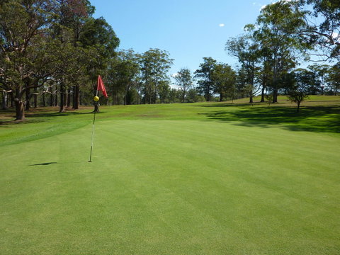 Kempsey Rose Motor Inn - Hotel NSW 3