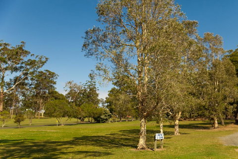 Kempsey Rose Motor Inn - Hotel NSW 32