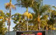 Kempsey Rose Motor Inn - thumb 10