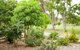 Kempsey Rose Motor Inn - thumb 42