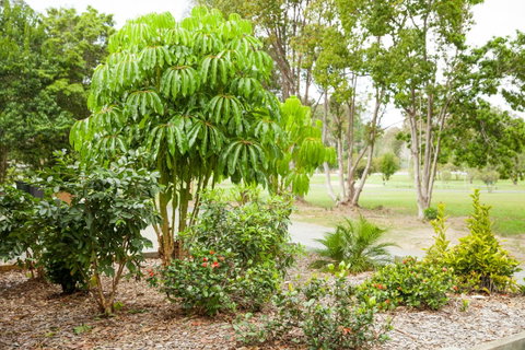 Kempsey Rose Motor Inn - Hotel NSW 42