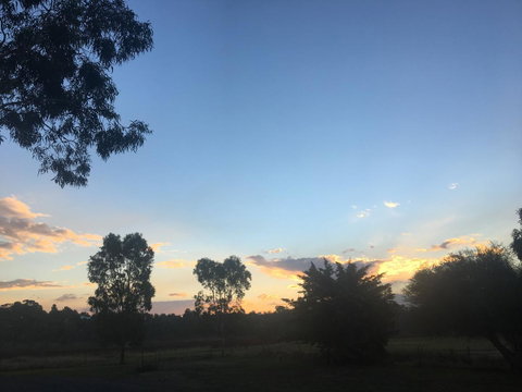 Junee Motor Inn - Hotel NSW 26