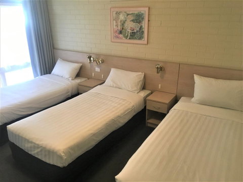 Junee Motor Inn - Hotel NSW 18