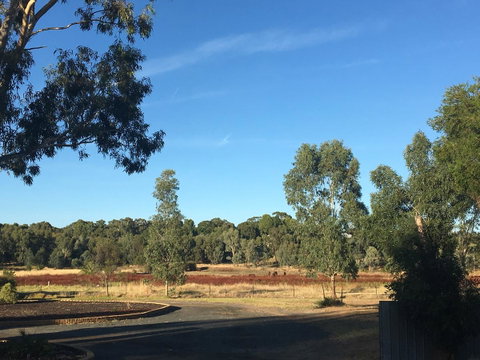 Junee Motor Inn - Hotel NSW 24