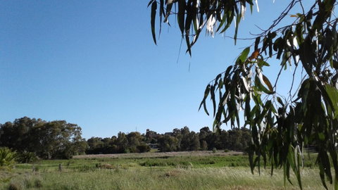 Junee Motor Inn - Hotel NSW 8