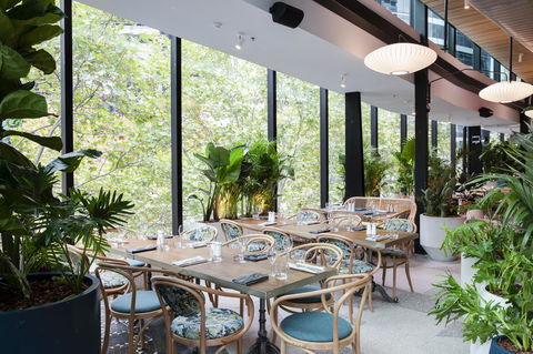 Vibe Hotel North Sydney - Hotel NSW 4