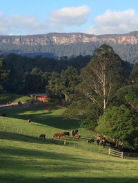 Amaroo Valley Springs