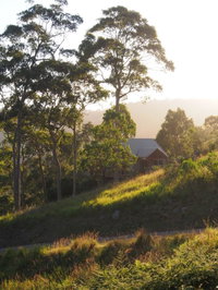 Book Bawley Point Accommodation Vacations Hotel NSW Hotel NSW