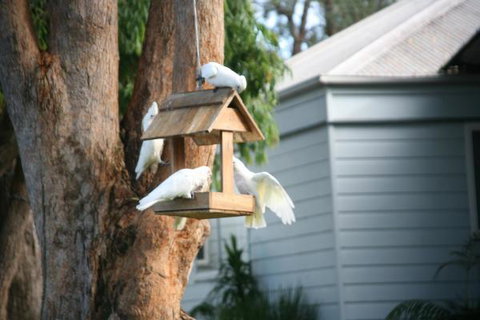 Huskisson Holiday Motel Cabins - Hotel NSW 29