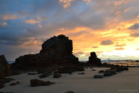 Flynns Beach Resort - Hotel NSW 19