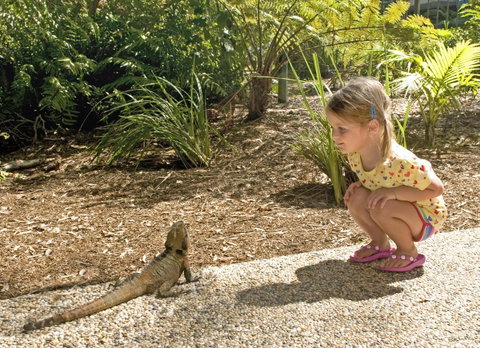 Flynns Beach Resort - Hotel NSW 16