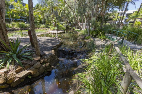 Flynns Beach Resort - Hotel NSW 13