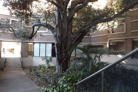 Fiori Apartments - Hotel NSW 32