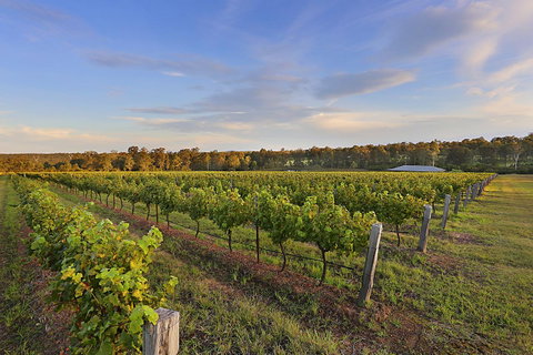 Ironstone Estate Lovedale - Hotel NSW 31