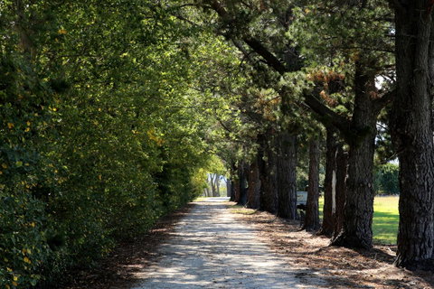 Terara Riverside Retreat - Hotel NSW 26