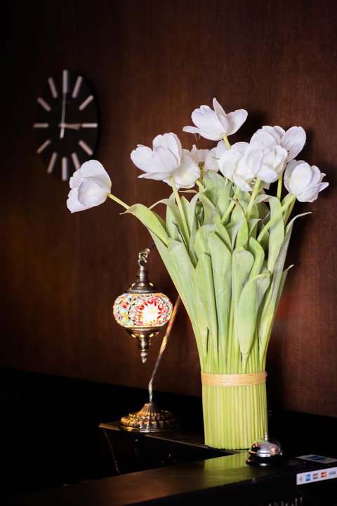 Kirketon Hotel Sydney - Hotel NSW 24