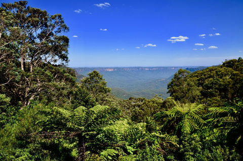 Dangal Gardens - Hotel NSW 28