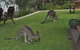 By The Beach B&B Self Contained Apartments - thumb 28