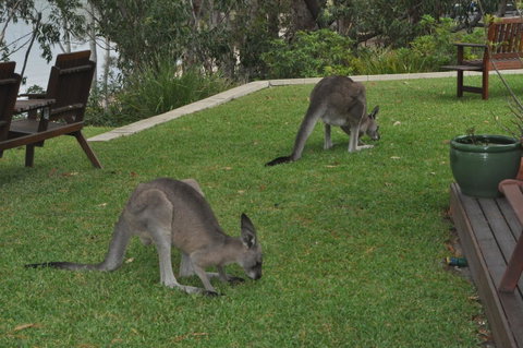 By The Beach B&B Self Contained Apartments - Hotel NSW 28