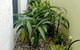 By The Beach B&B Self Contained Apartments - thumb 24