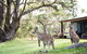 By The Beach B&B Self Contained Apartments - thumb 17