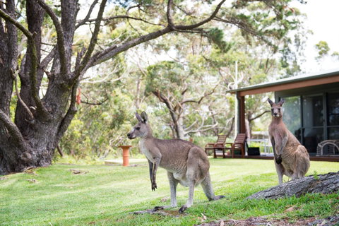 By The Beach B&B Self Contained Apartments - Hotel NSW 17