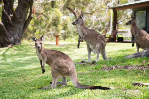 By The Beach B&B Self Contained Apartments - Hotel NSW 16