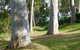 The Retreat At Palm Beach - thumb 4