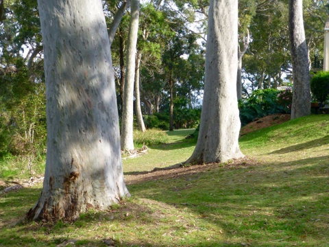 The Retreat At Palm Beach - Hotel NSW 4