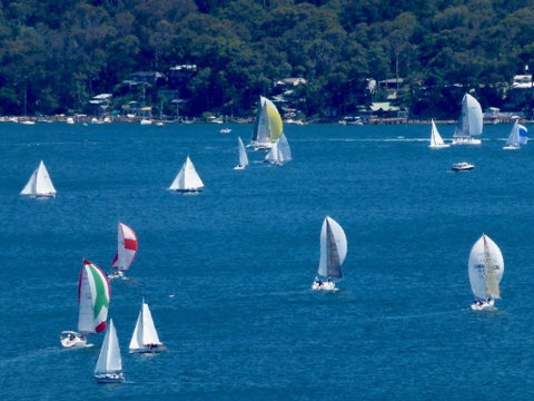 The Retreat At Palm Beach - Hotel NSW 16