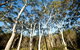 Bush & Bay Cottage - thumb 28
