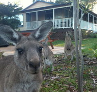 Bush  Bay Cottage - Hotel NSW