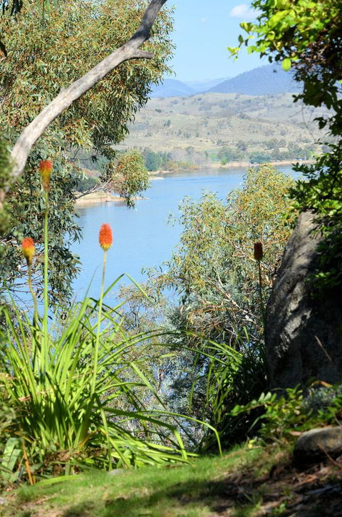 The Point - Exceptional - Hotel NSW 4