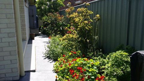Sydney Amazing Holiday Home Bridal BnB - Hotel NSW 41