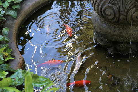 Manor Boutique Hotel Sydney - Hotel NSW 25