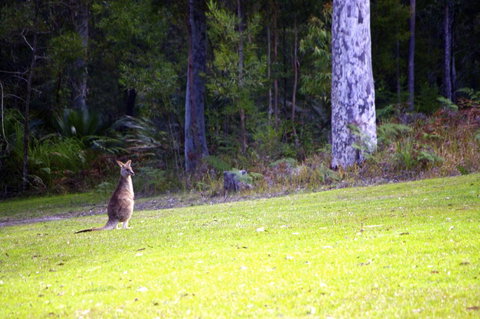 Jackson Ranch By Bannisters - Hotel NSW 31