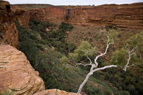 Kings Creek Station - Hotel NSW 15