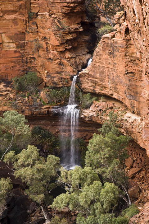 Kings Creek Station - Hotel NSW 0