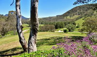 Book Capertee Accommodation Vacations Hotel NSW Hotel NSW