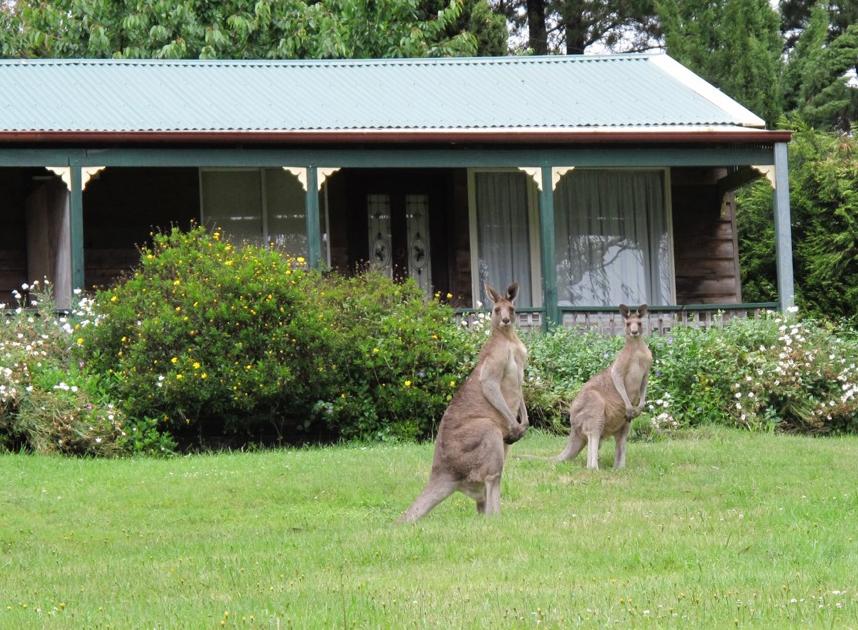 Mount Victoria NSW Hotel NSW